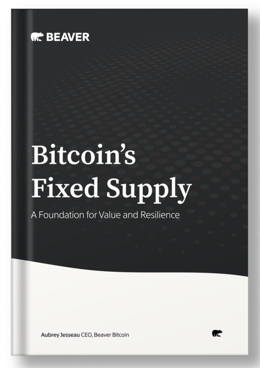 Bitcoins Fixed Supply Mobile Image